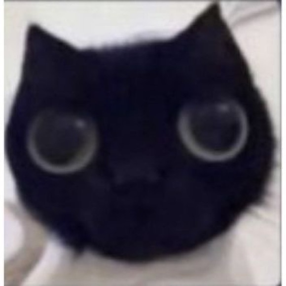 elliemtolan